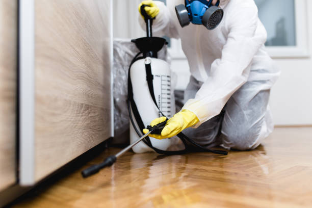 Best Local Pest Control Services  in Old Tappan, NJ