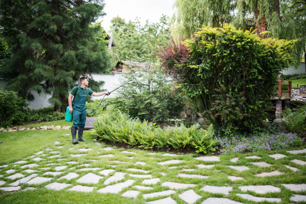 Best Pest Inspection Near Me  in Old Tappan, NJ