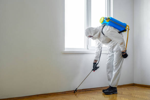 Best Affordable Pest Control Services  in Old Tappan, NJ