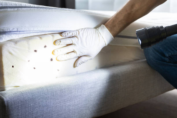 Best Wasp Removal Services  in Old Tappan, NJ