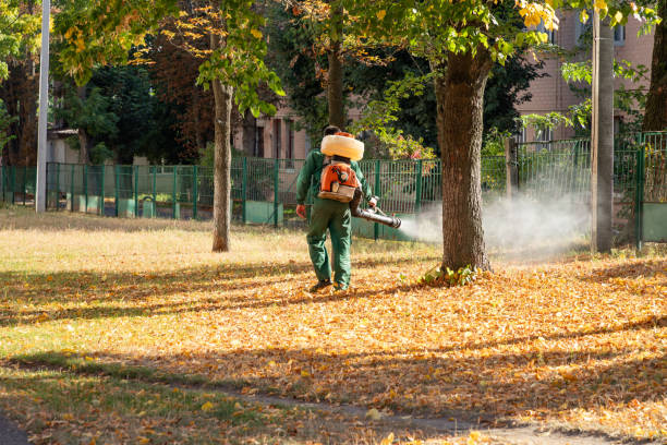 Best Best Pest Control Companies  in Old Tappan, NJ