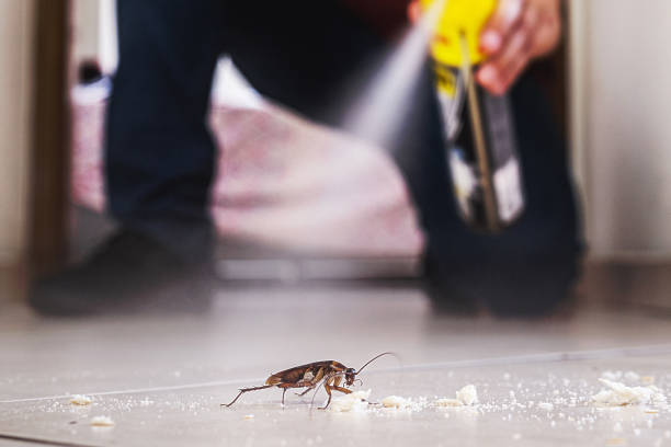 Best Wasp Removal Services  in Old Tappan, NJ